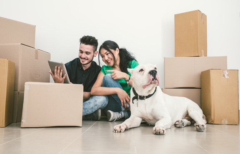 moving company moving companies